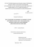 Можейко, Елена Юрьевна. Восстановление когнитивных нарушений и тонкой моторики после инсульта с использованием компьютерных программ и принципа биологической обратной связи: дис. кандидат наук: 14.01.11 - Нервные болезни. Красноярск. 2014. 251 с.