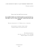 Карагодин Арсений Владиславович. Воздействие космических факторов на процессы в глобальной электрической цепи: дис. кандидат наук: 00.00.00 - Другие cпециальности. ФГБОУ ВО «Санкт-Петербургский государственный университет». 2023. 224 с.