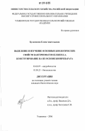 Бульканова, Елена Анатольевна. Выделение и изучение основных биологических свойств бактериофагов Klebsiella, конструирование на их основе биопрепарата: дис. кандидат биологических наук: 03.00.07 - Микробиология. Ульяновск. 2006. 162 с.